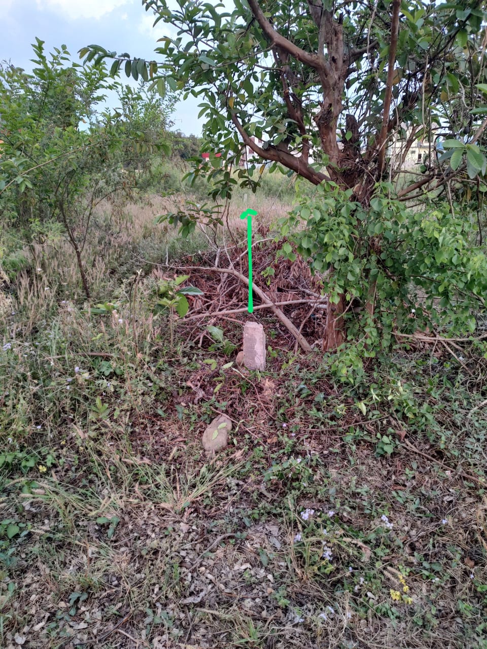 Picture of Butwal Sub- Metropolitan Municipality, Lumbini